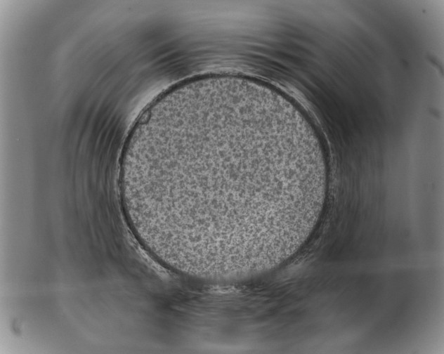 X0000102770799200809151038