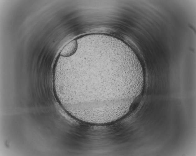 X0000102770800200809151038