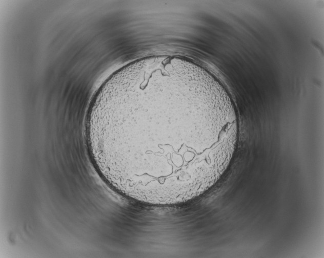 X0000102770803200809151038