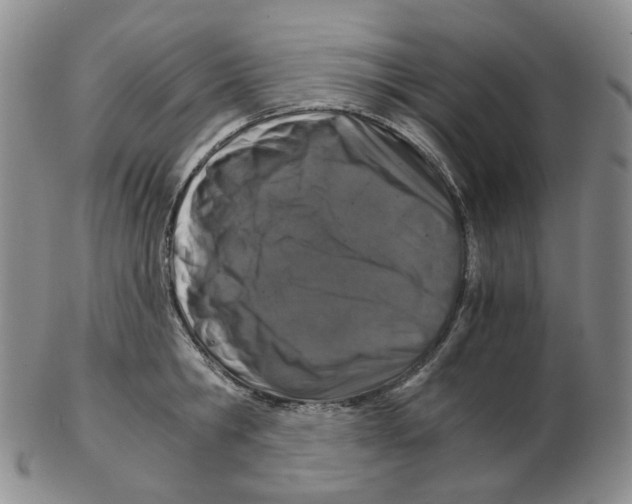 X0000102770806200809151038