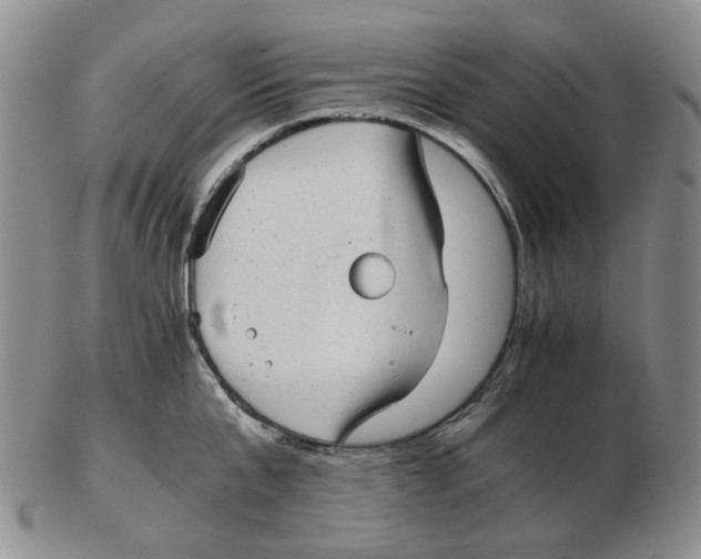 X0000102770807200809151038