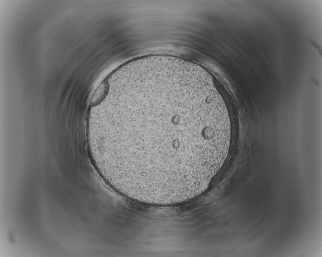 X0000102770808200809151038