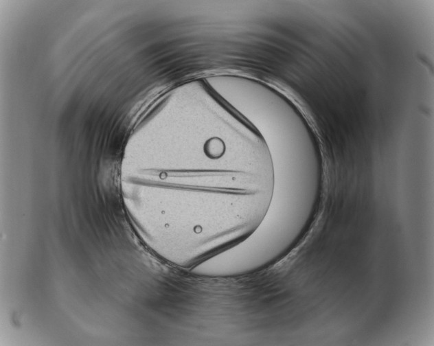 X0000102770809200809151038