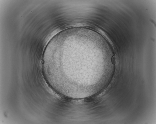 X0000102770810200809151038