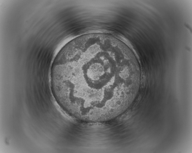 X0000102770811200809151038