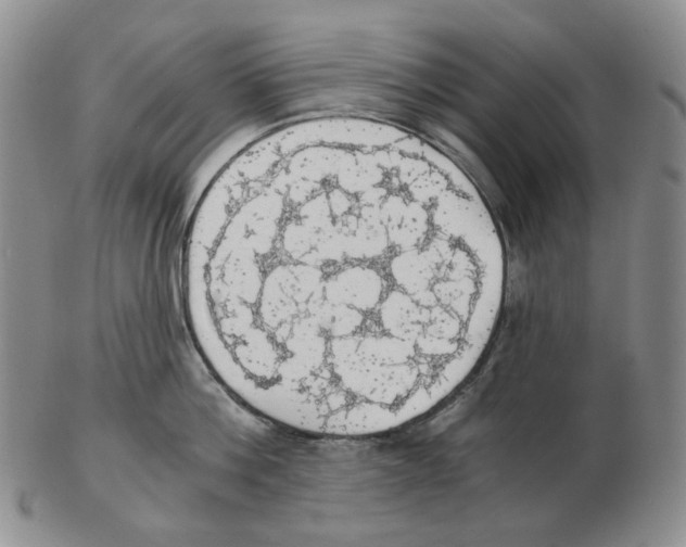 X0000102770812200809151038