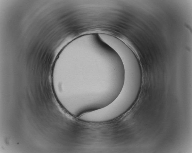 X0000102770813200809151038