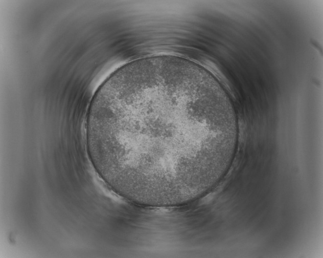 X0000102770814200809151038