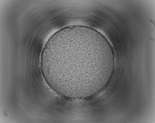 X0000102770815200809151038