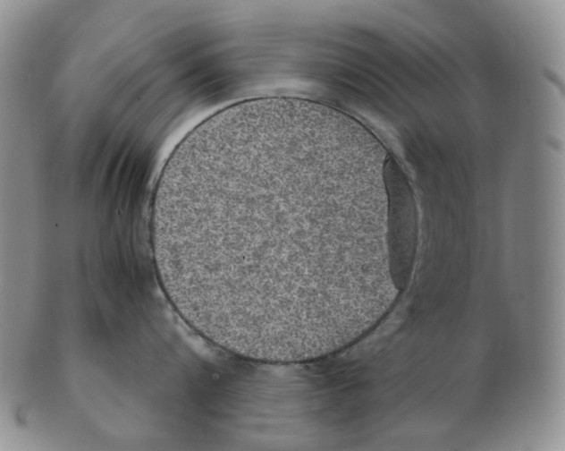 X0000102770816200809151038