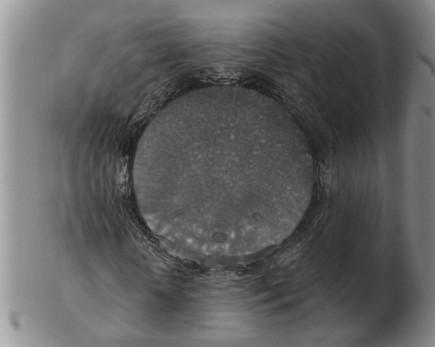 X0000102770818200809151037