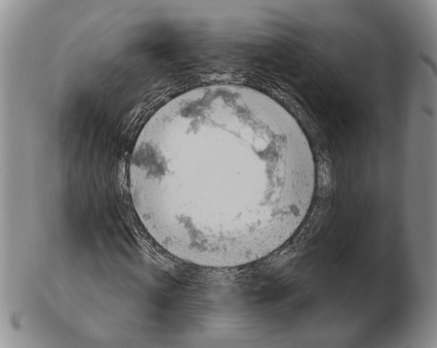 X0000102770820200809151037