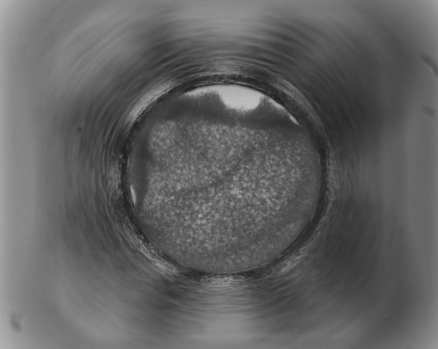 X0000102770826200809151037