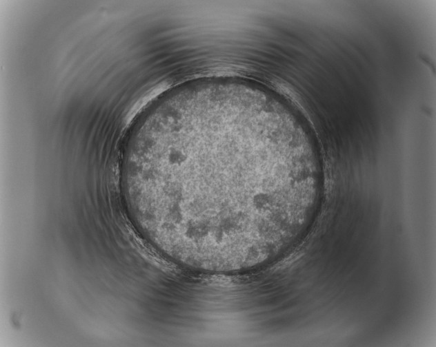 X0000102770827200809151037