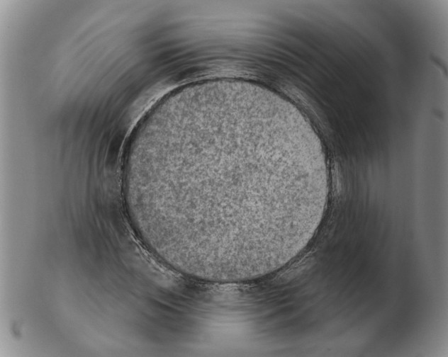 X0000102770828200809151037