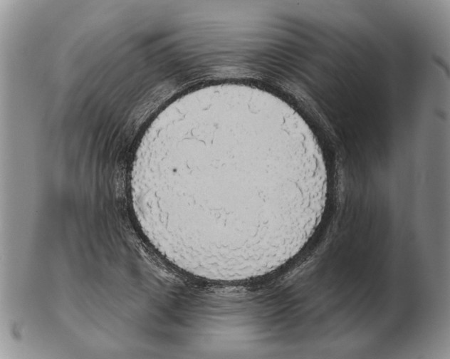 X0000102770833200809151037