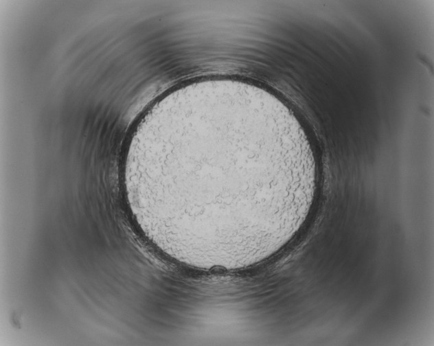 X0000102770834200809151037