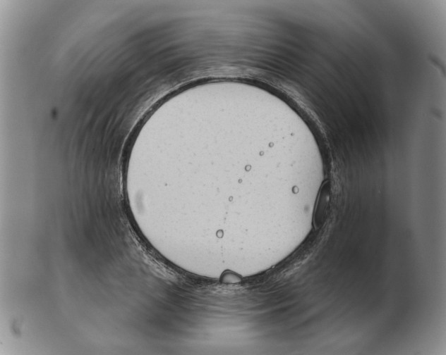 X0000102770837200809151037