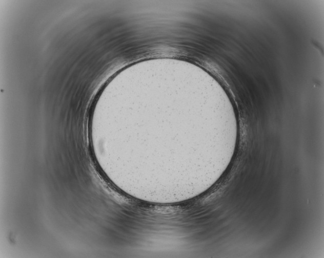 X0000102770843200809151037