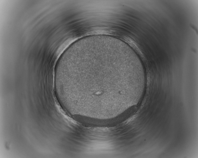 X0000102770844200809151037