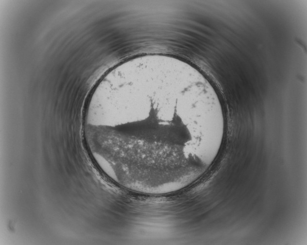 X0000102770845200809151037