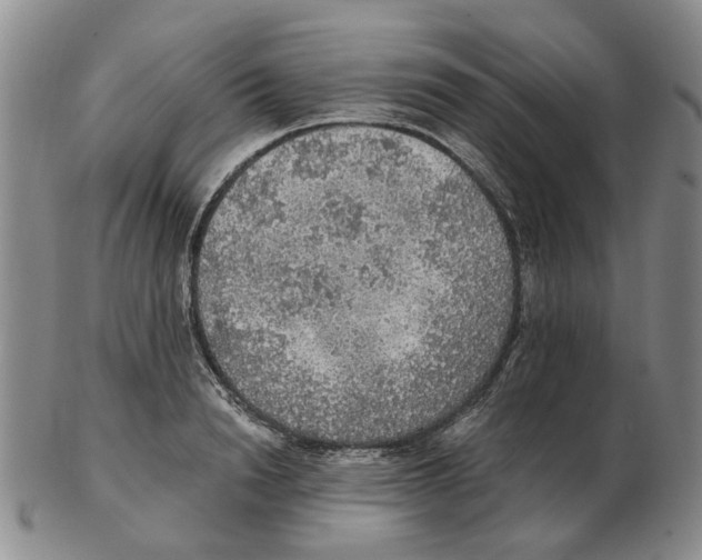 X0000102770846200809151037