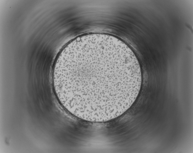 X0000102770848200809151037