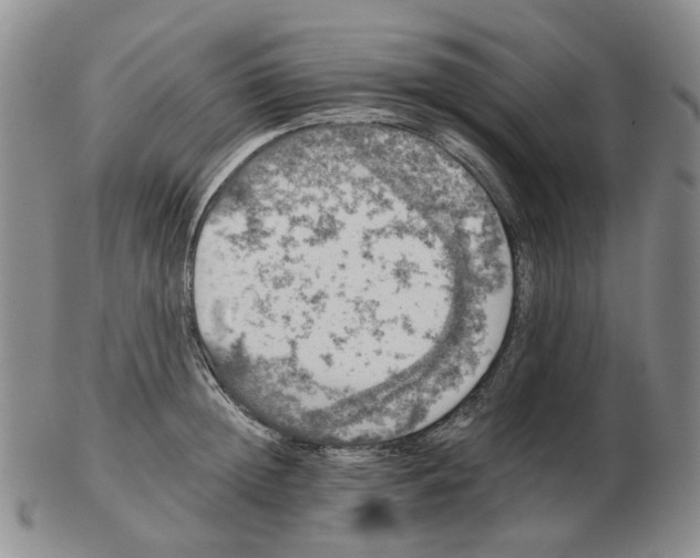 X0000102770852200809151037