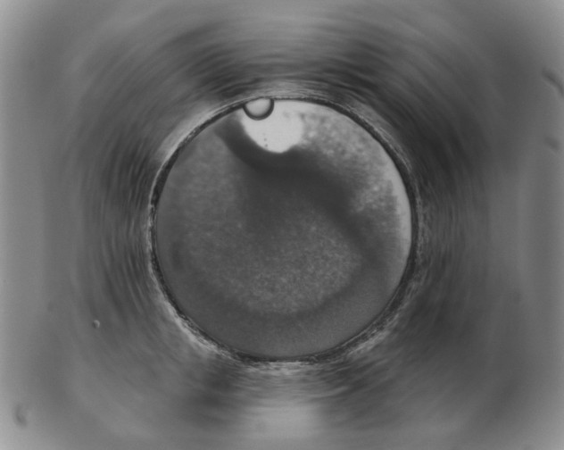 X0000102770853200809151037