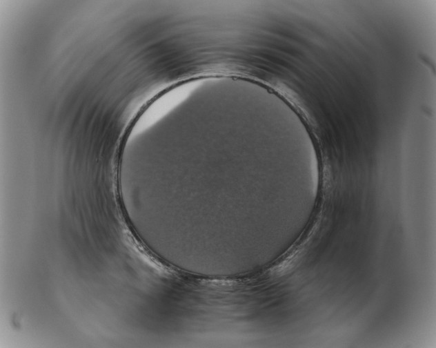 X0000102770854200809151037