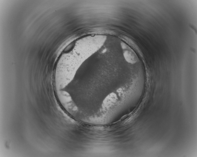 X0000102770855200809151037