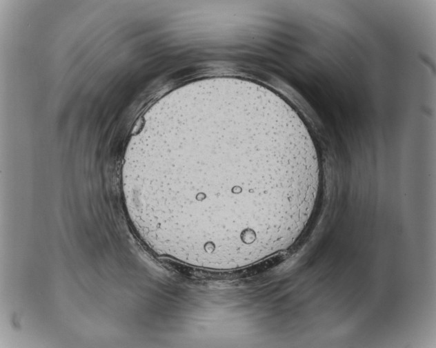 X0000102770857200809151038