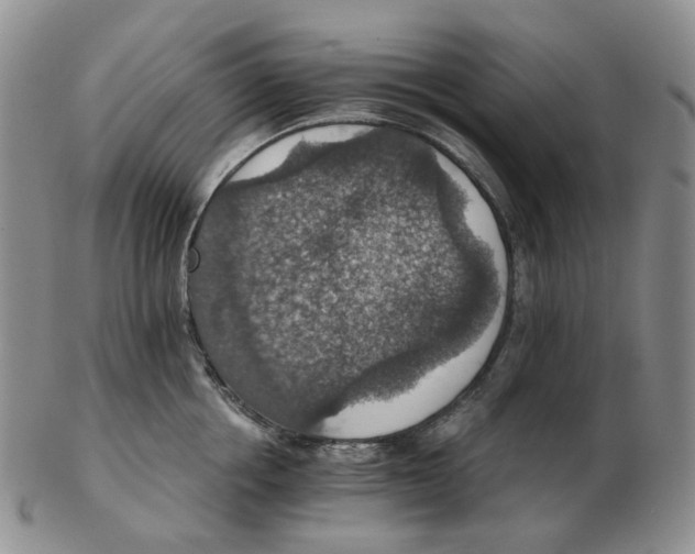 X0000102770858200809151038