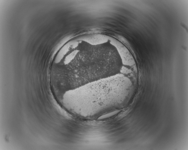 X0000102770859200809151038