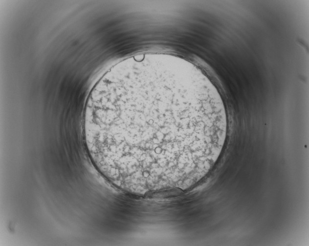 X0000102770860200809151038