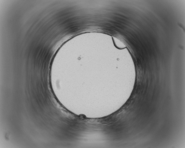 X0000102770861200809151038