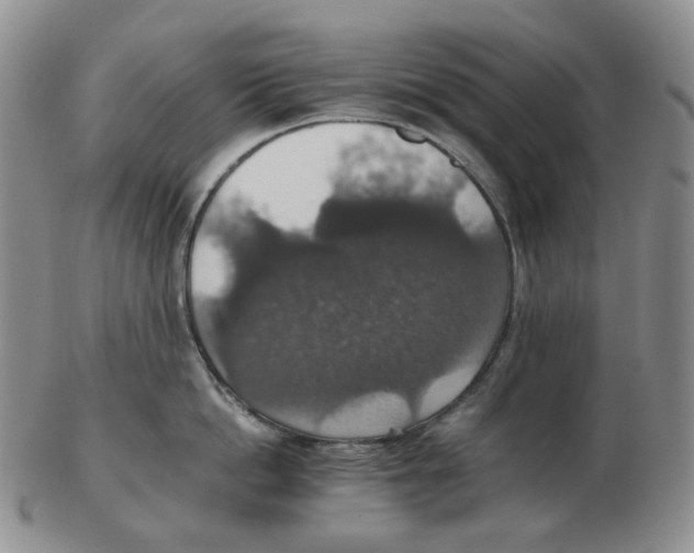 X0000102770862200809151038