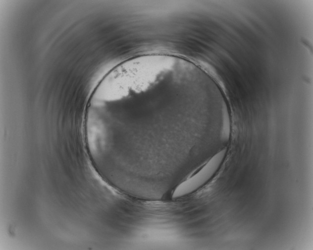 X0000102770863200809151038