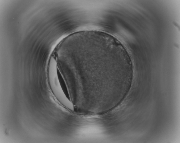 X0000102770864200809151038