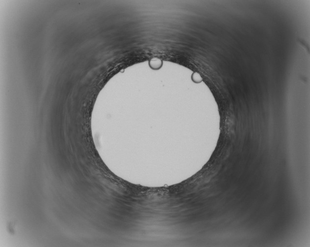 X0000102770865200809151037