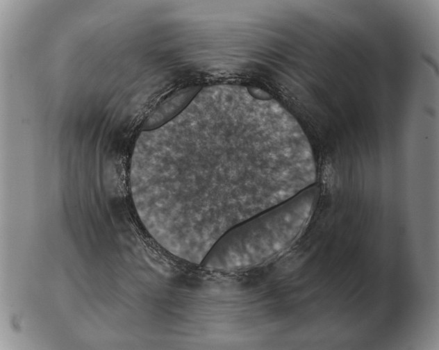 X0000102770868200809151037