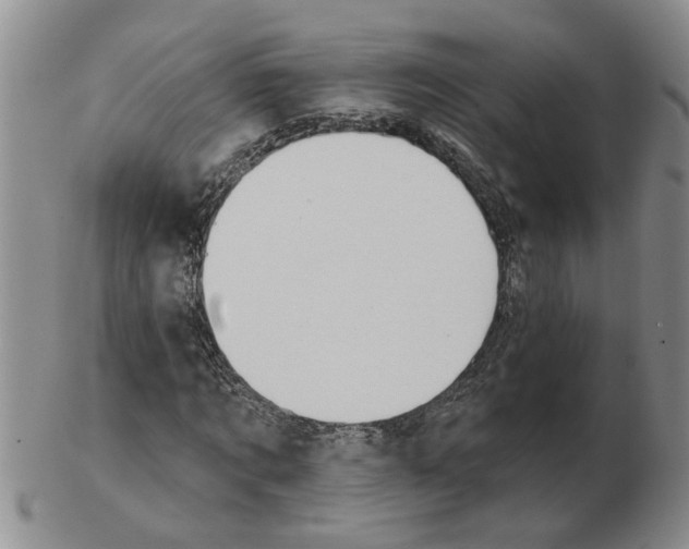 X0000102770869200809151037