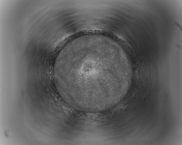 X0000102770870200809151037