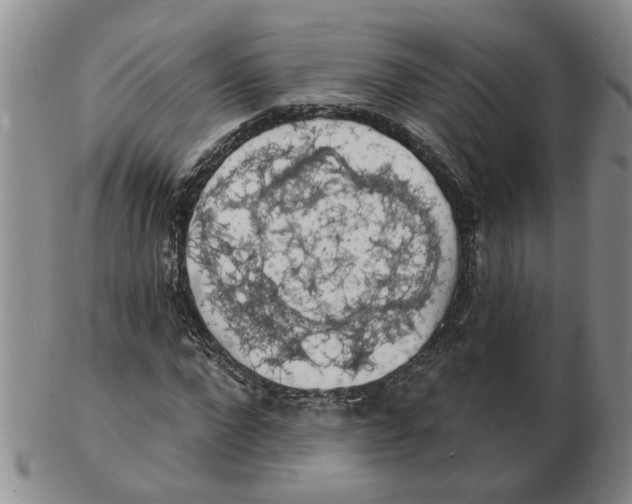 X0000102770872200809151037