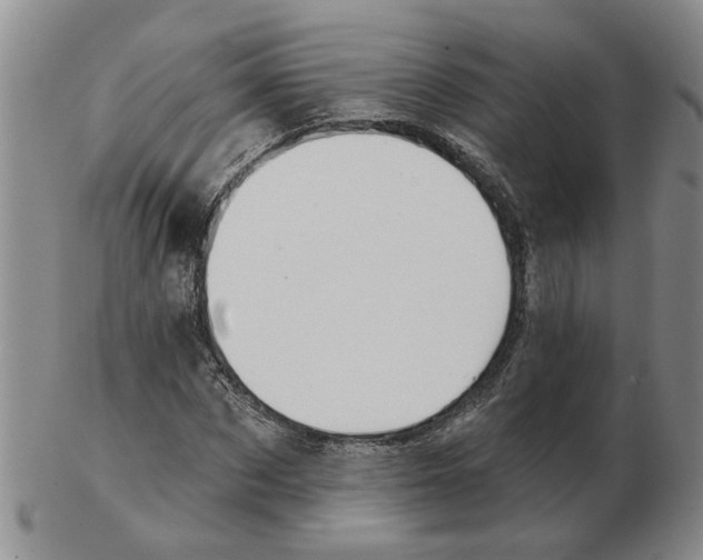 X0000102770873200809151037