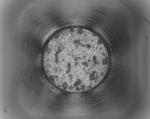 X0000102770875200809151037