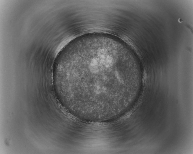 X0000102770877200809151037