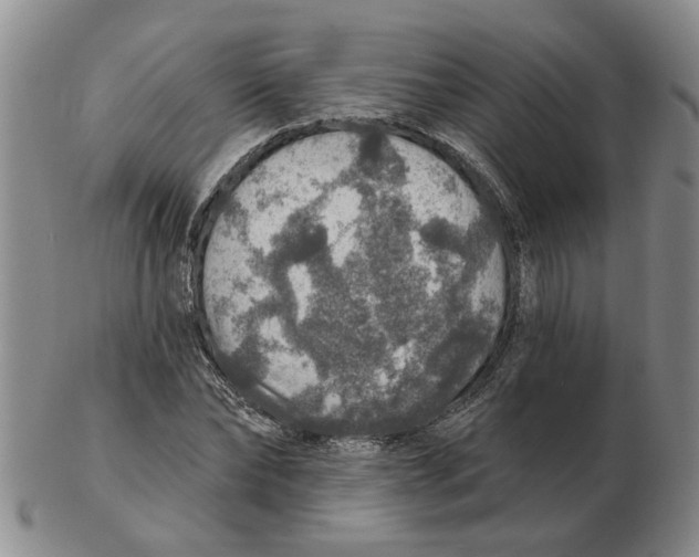 X0000102770878200809151037