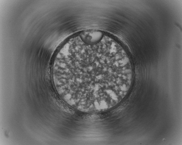 X0000102770879200809151037