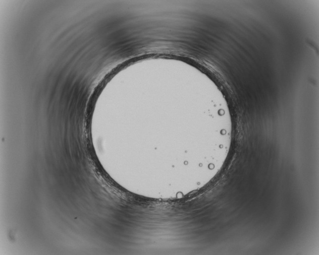 X0000102770880200809151037